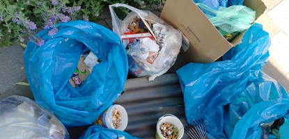 Cleanup-Woche des Netzwerks Müllvermeidung der Stadtgestalterei: Was alles so in Hecken und auf Grünstreifen landet